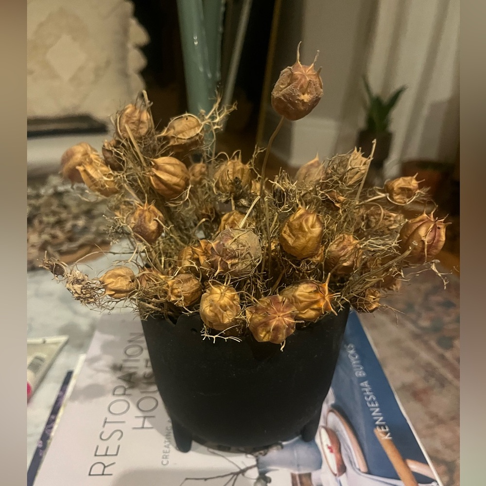 Black Pot with Dried Floral Arrangement